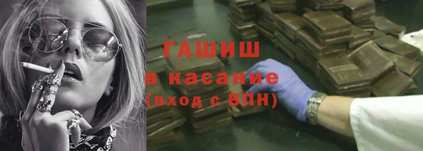 стаф Алексин
