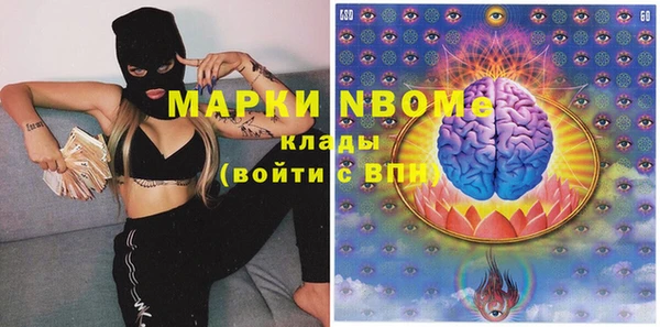 стаф Алексин