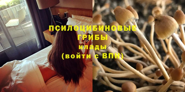 стаф Алексин