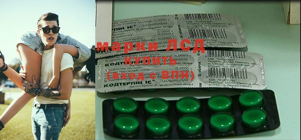 стаф Алексин