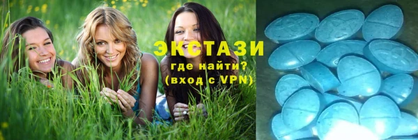 стаф Алексин