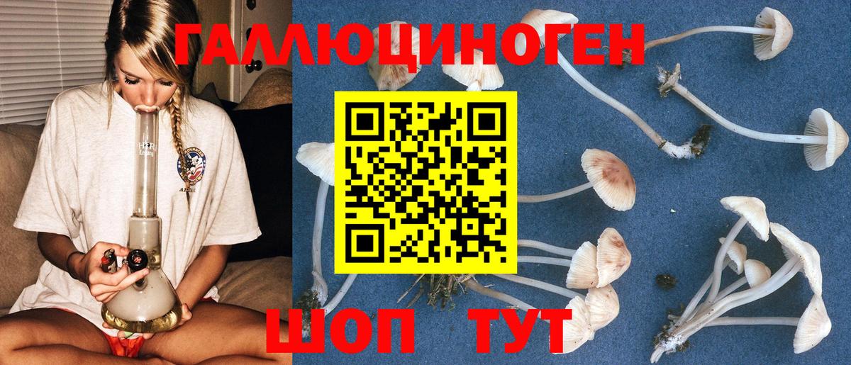 Псилоцибиновые грибы мухоморы  Псилоцибиновые грибы GOLDEN TEACHER  Кудрово  Вход с VPN 