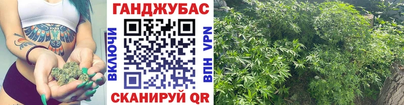 hydra как зайти  Кудрово  МАРИХУАНА ГИДРОПОН  как найти наркотики 